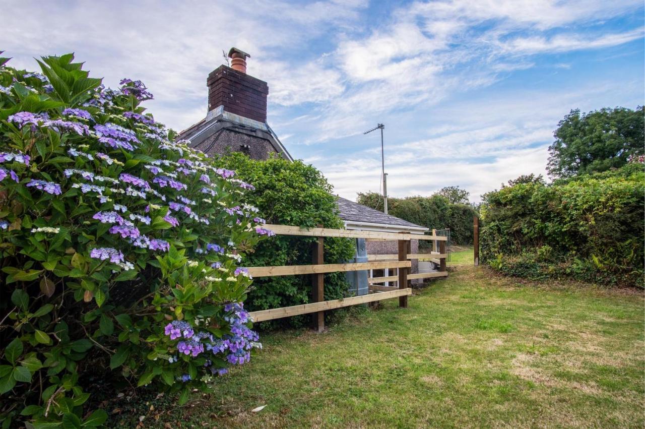 Holloway - 2 Bedroom Cottage - Stepaside Stepaside  Екстериор снимка